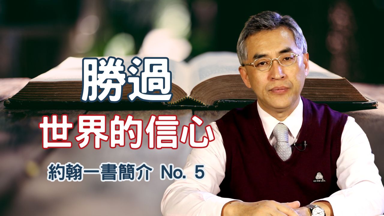 播放