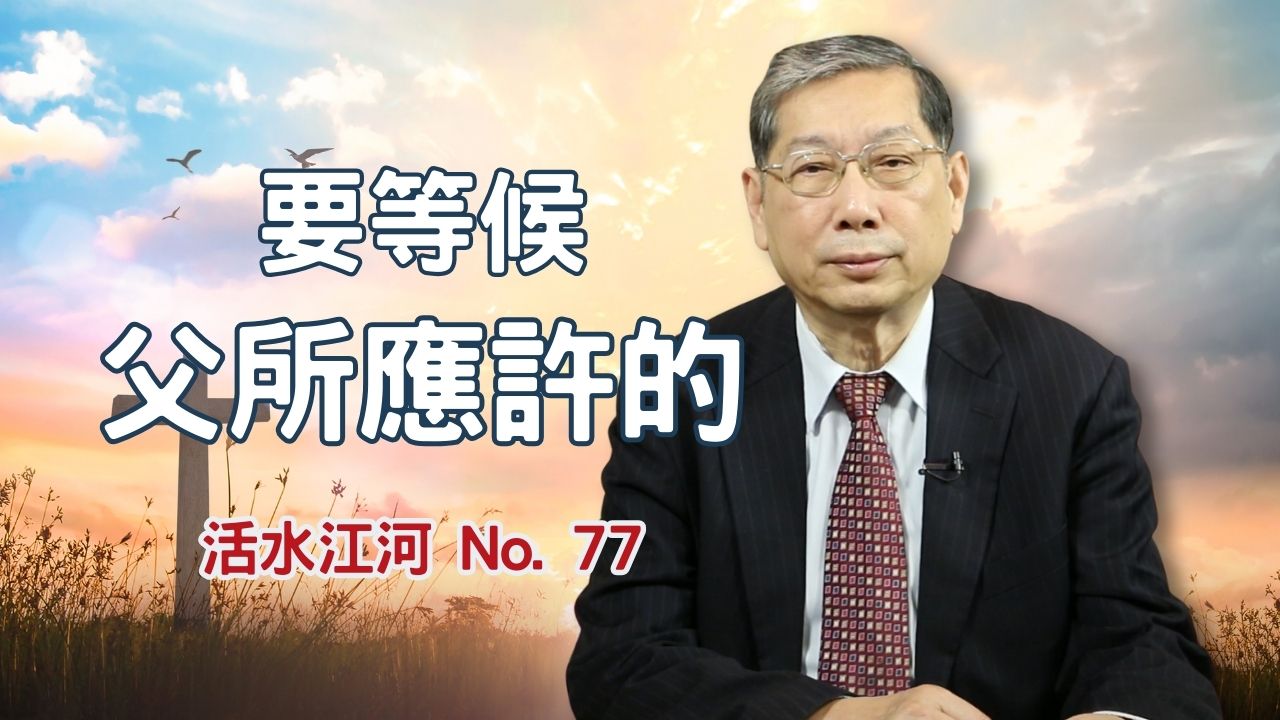 播放