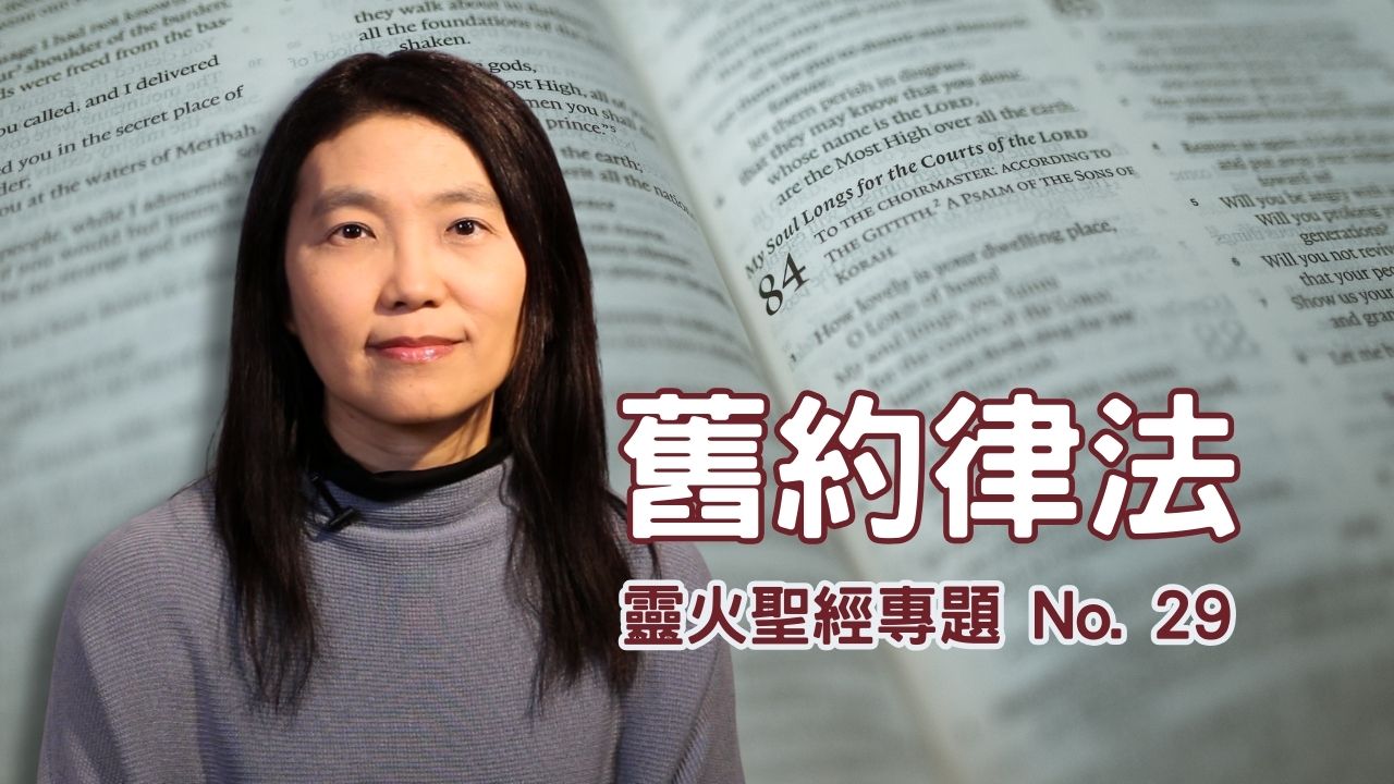 播放