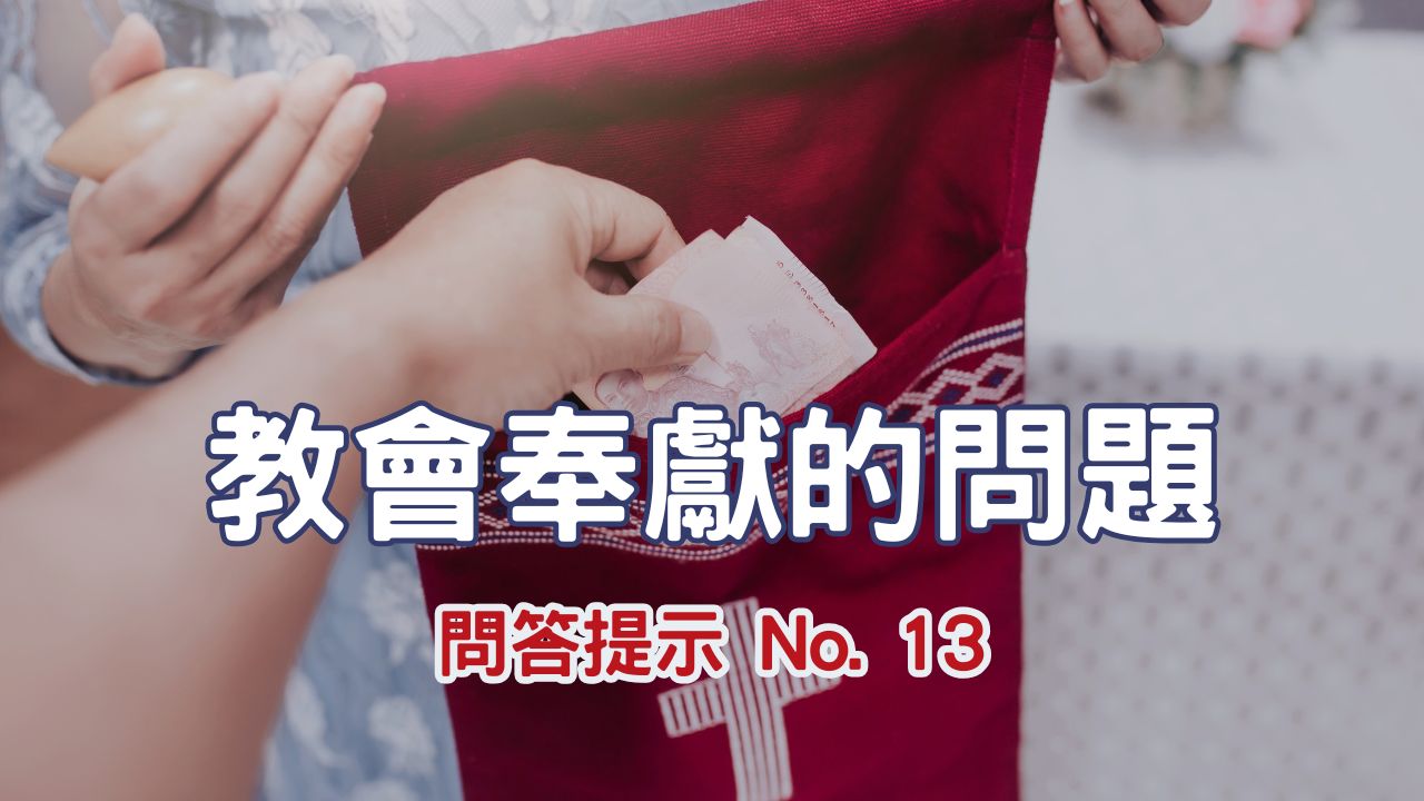 播放