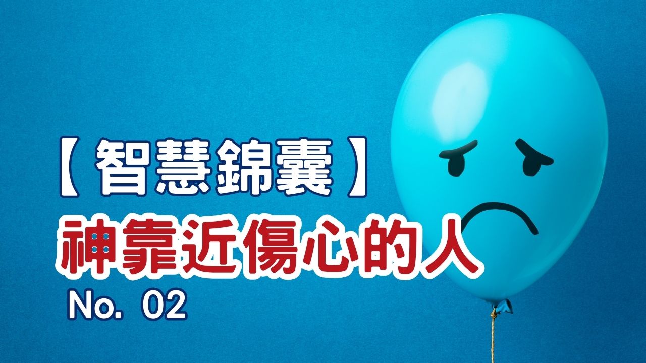 播放