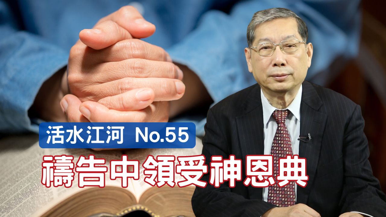 播放