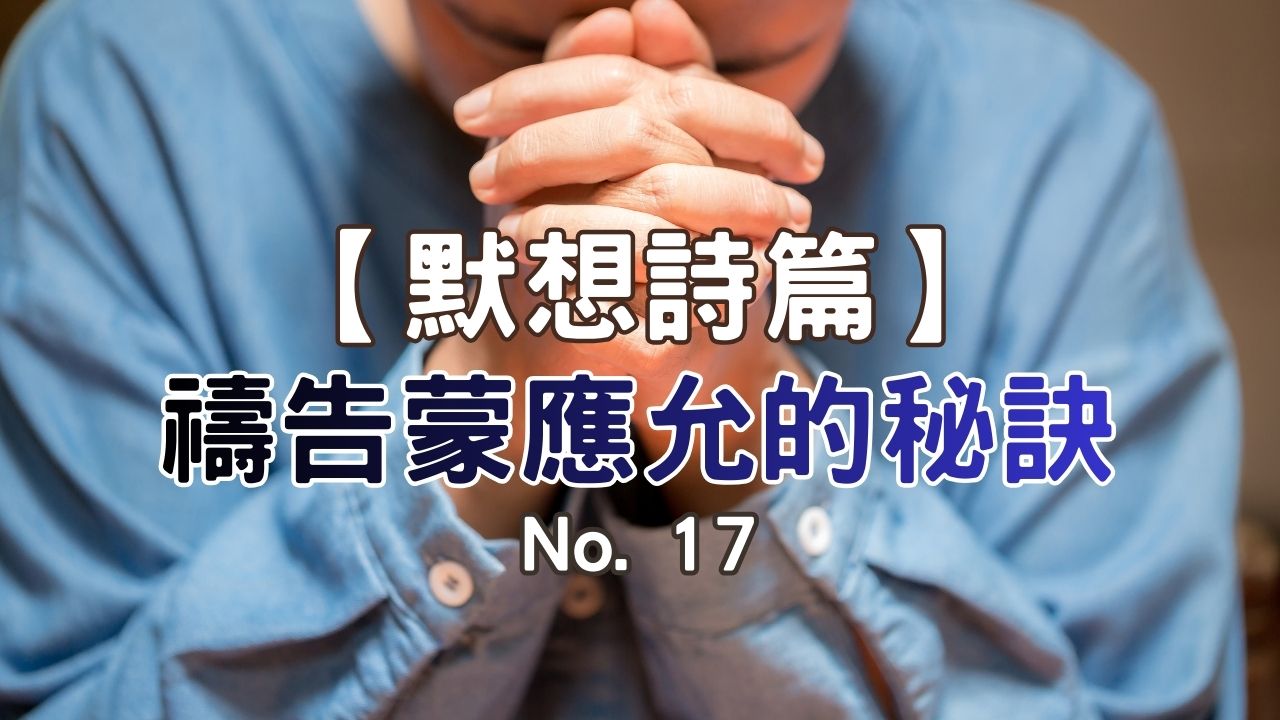 播放
