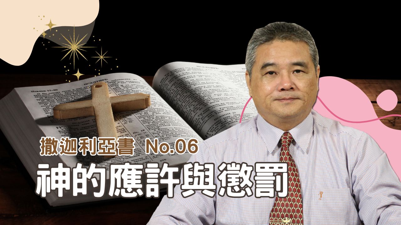 播放