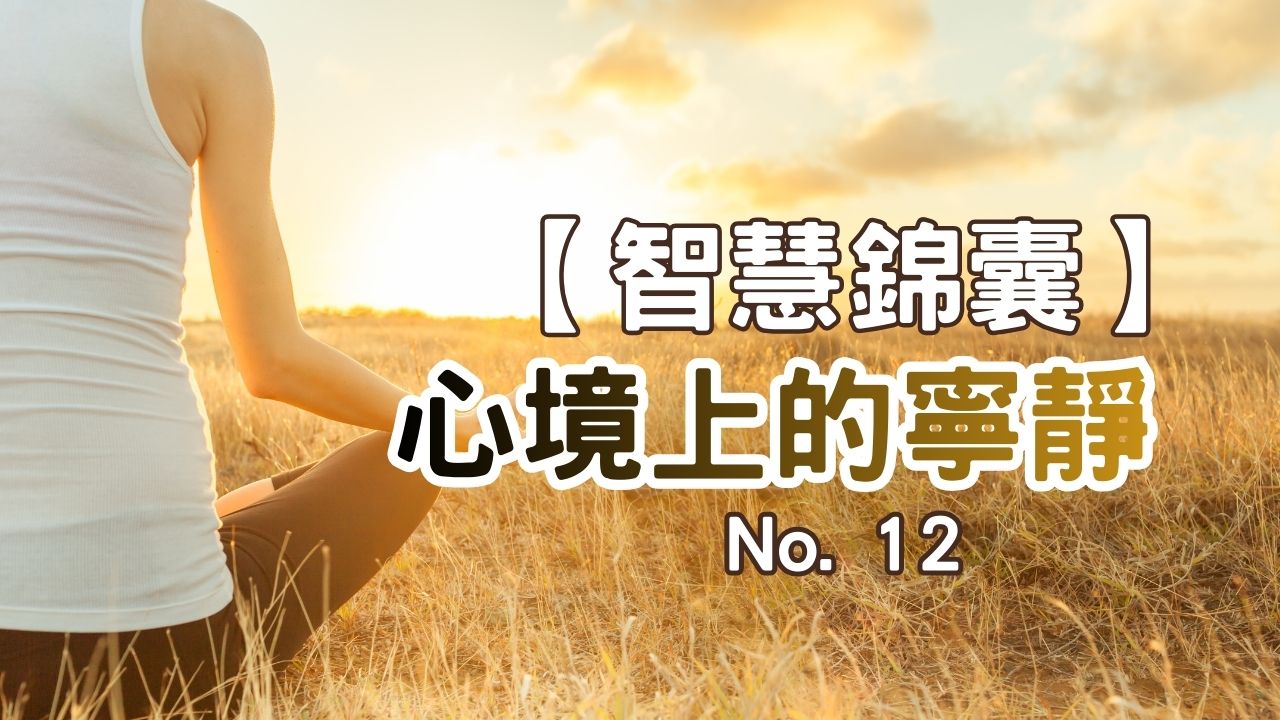 播放