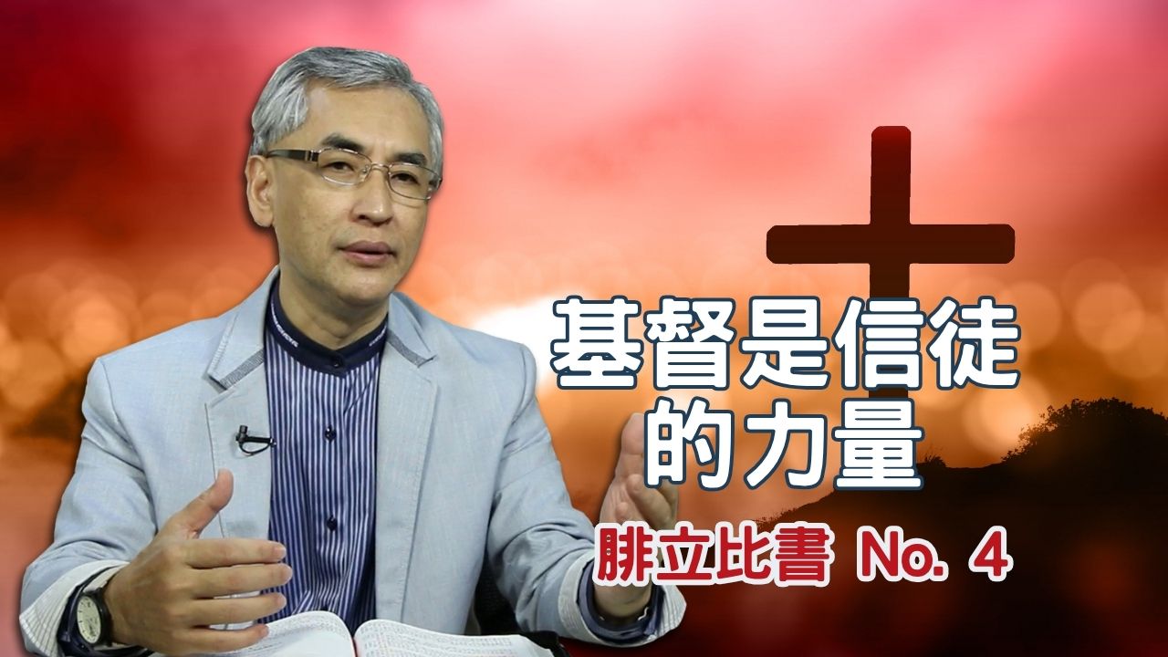 播放