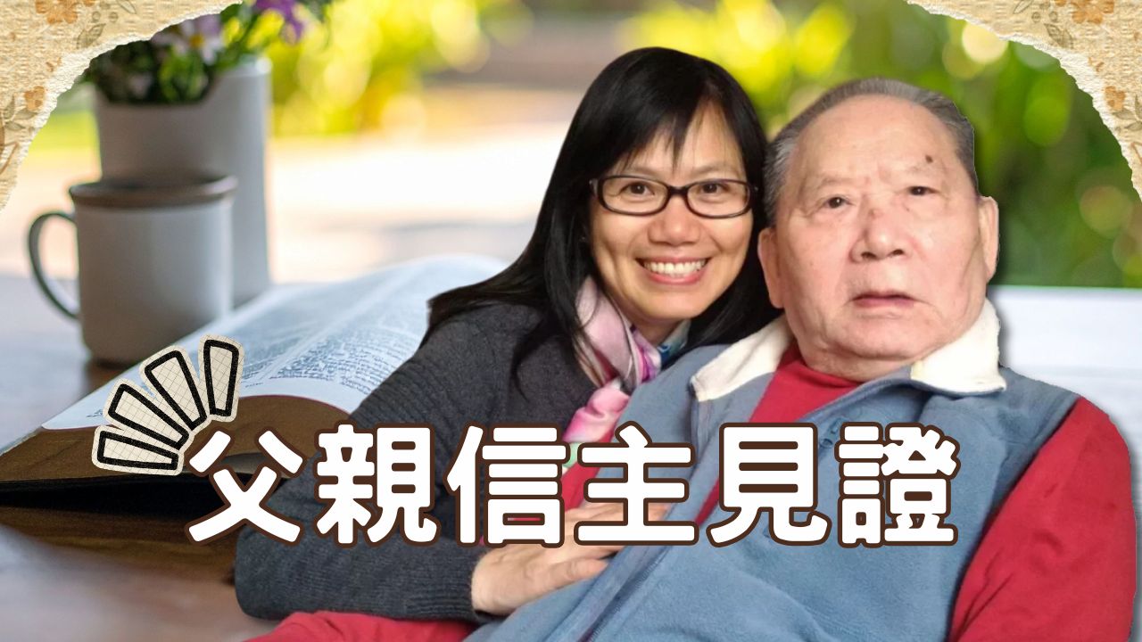 播放