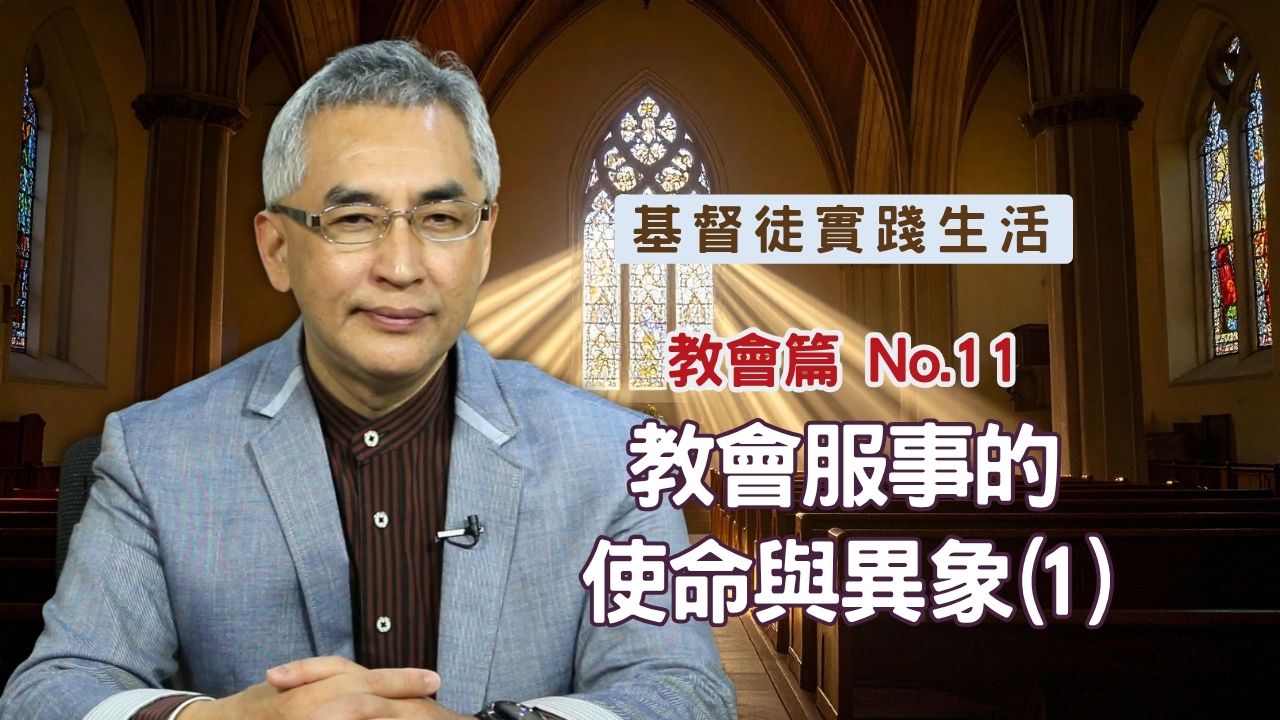 播放